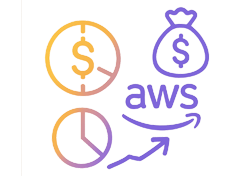 Cost Optimization and Management