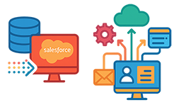 Data Migration and Integration